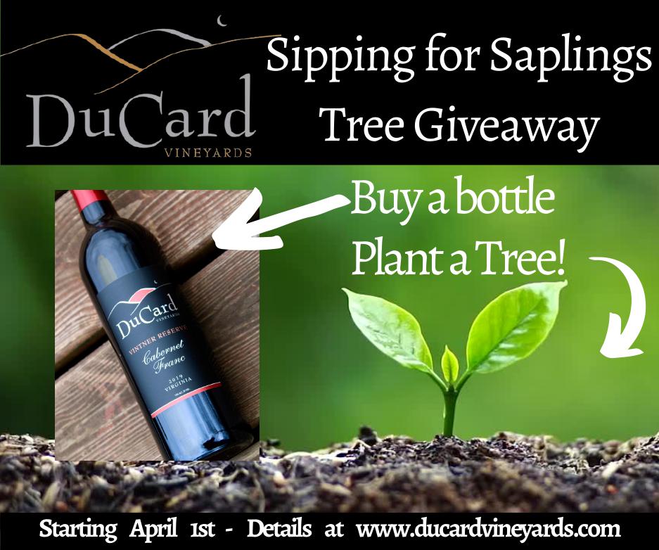 #ducard #sipping for saplings
